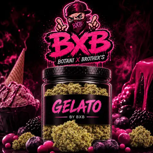 Gelato – Fleur CBD Indoor Bio - Gamme Sélection