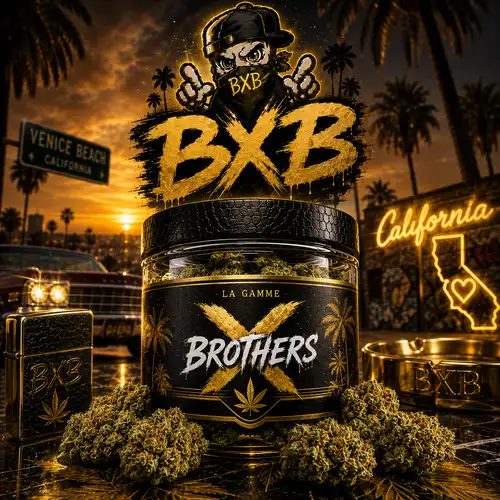 XBrothers  – Fleur CBD Premium Indoor Cali (Small bud)