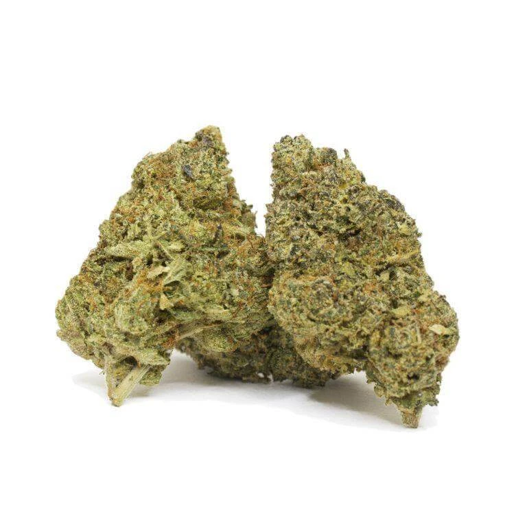 BotaniX  – Fleur CBD Premium Indoor ( Big Bud)