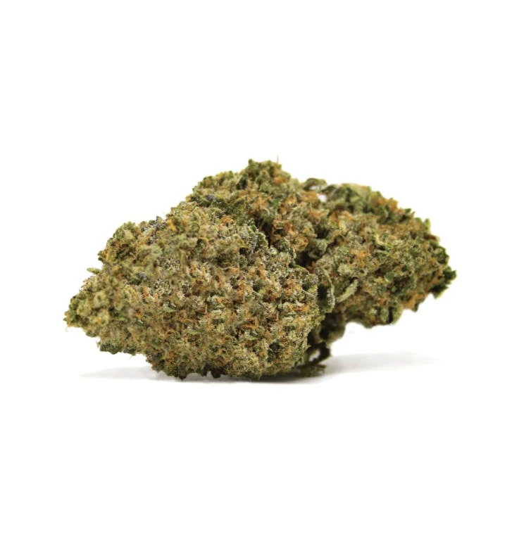 BotaniX  – Fleur CBD Premium Indoor ( Big Bud)
