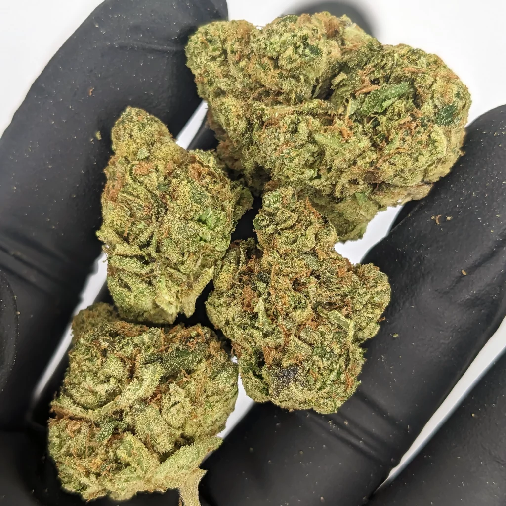 BotaniX  – Fleur CBD Premium Indoor ( Big Bud)
