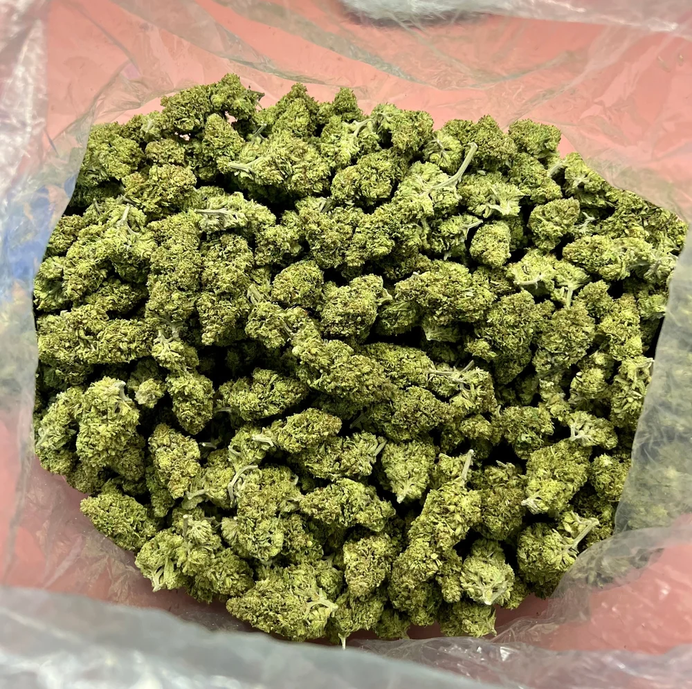 XBrothers  – Fleur CBD Premium Indoor Cali (Small bud)