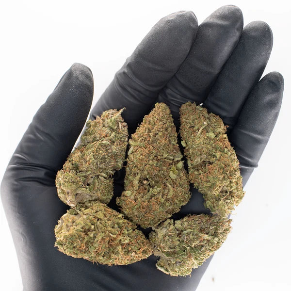 Royal OG - Fleur CBD Premium