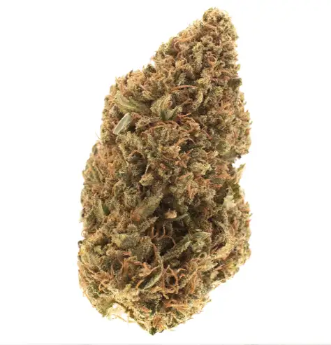 Royal OG - Fleur CBD Premium