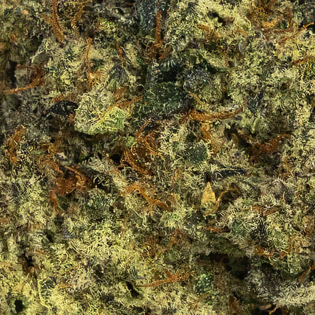 Cake Berry – Fleur CBD Premium