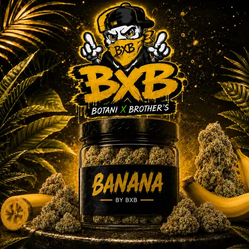 Banana – Fleur CBD Outdoor - Gamme Sélection