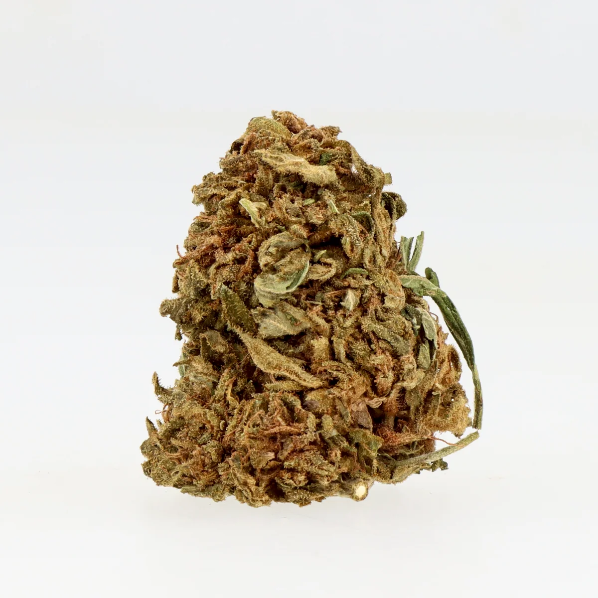 Banana – Fleur CBD Outdoor - Gamme Sélection