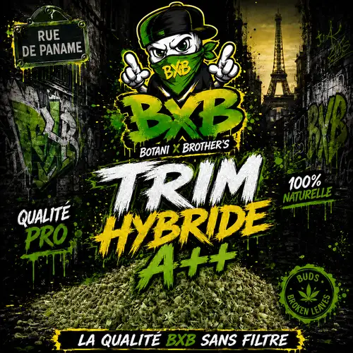 Trim CBD Hybride A++ – Sélection BXB