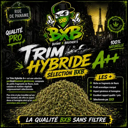 Trim CBD Hybride A++ – Sélection BXB