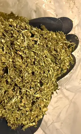 Trim CBD Hybride A++ – Sélection BXB