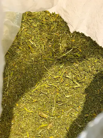 Trim Standard BIO CBD – Sélection BXB