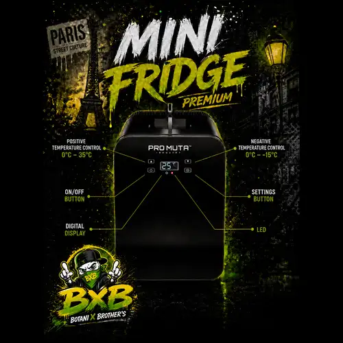 Mini Fridge Premium PRO MUTA – Chaud & Froid – Usage Professionnel