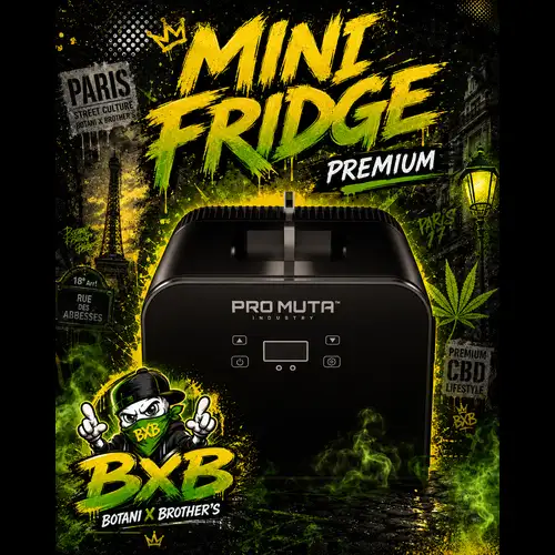 Mini Fridge Premium PRO MUTA – Chaud & Froid – Usage Professionnel