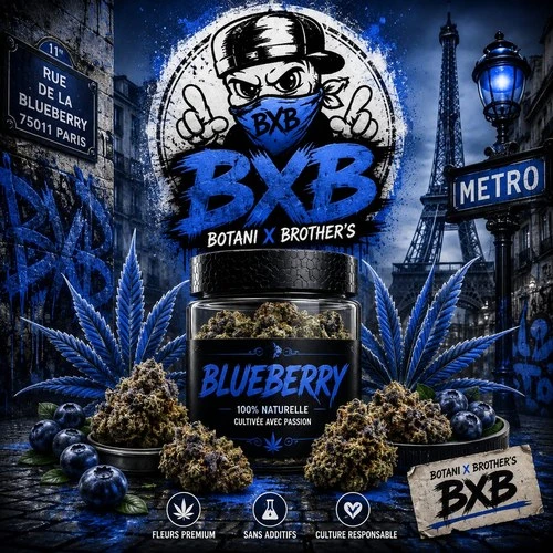 BlueBerry – Fleur CBD Premium