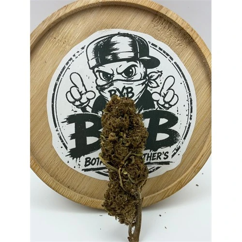 Skunk – Fleur CBD Green House - 100 % naturelle & bio