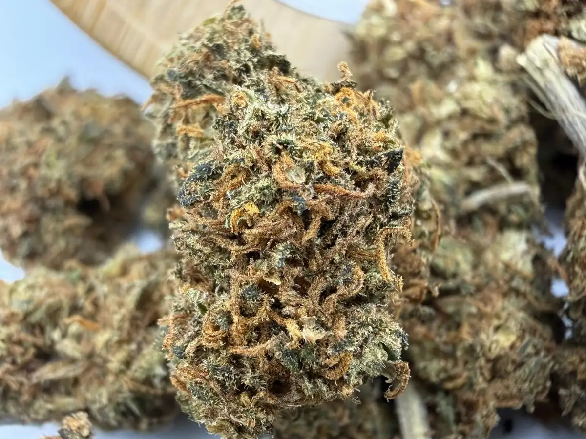 Strawberry – Fleur CBD Green House - 100 % naturelle & bio