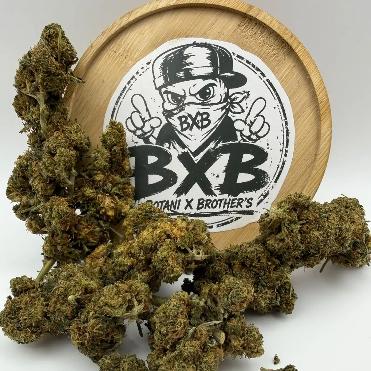 SUNSET SHORBET – Fleurs CBD Premium